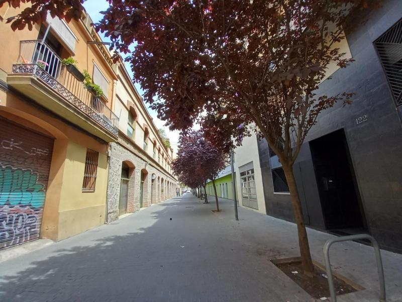 https://www.finquesfeliu.es/TAAFSynch/imagesNW/4685_29_1782207867.jpg