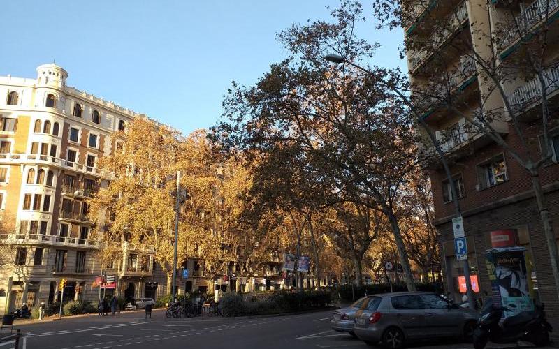 https://www.finquesfeliu.es/TAAFSynch/imagesNW/4576_1_1760527391.jpg